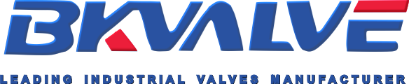 BKVALVE