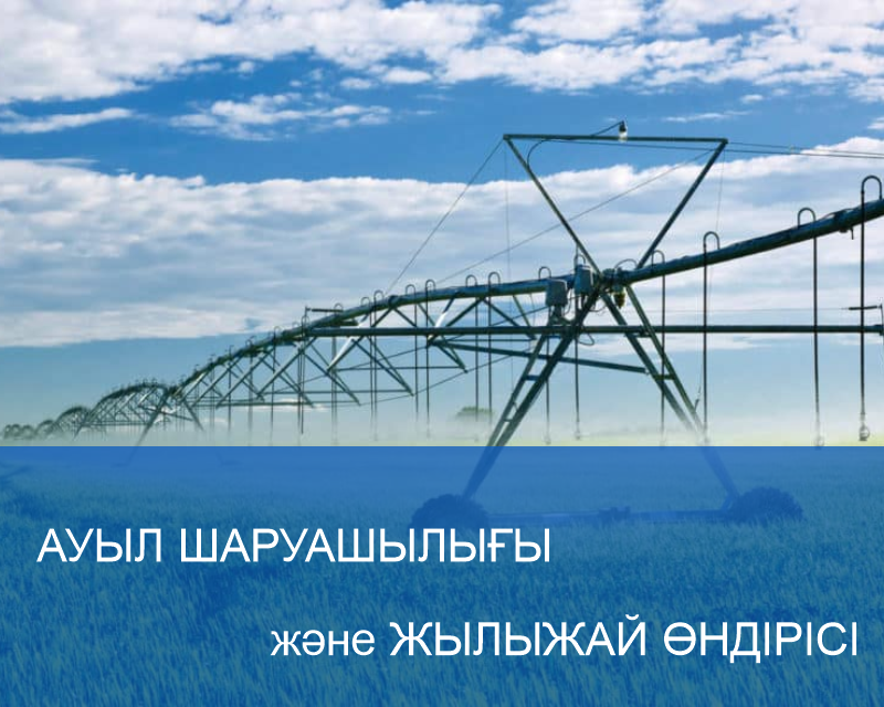 Производство продуктов питания и напитков